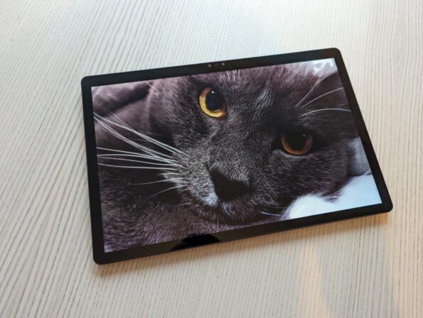 A 3D cat on the Nubia Pad 3D tablet